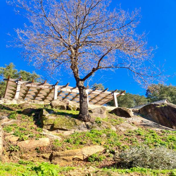 Paiva Valley Alvarenga Dış mekan fotoğraf